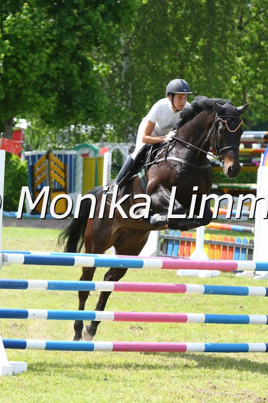 204M4013_Jack Pot_Spring_L.JPG